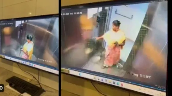 Dog Murder CCTV Footage