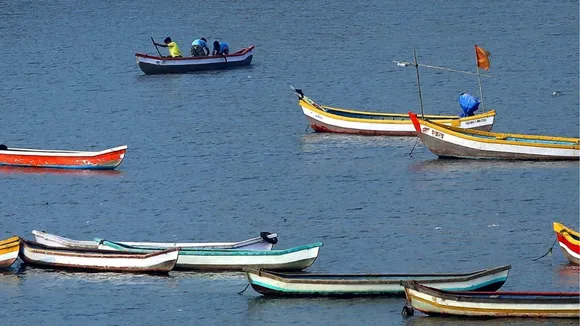 Gujarat Marine Fish Producer