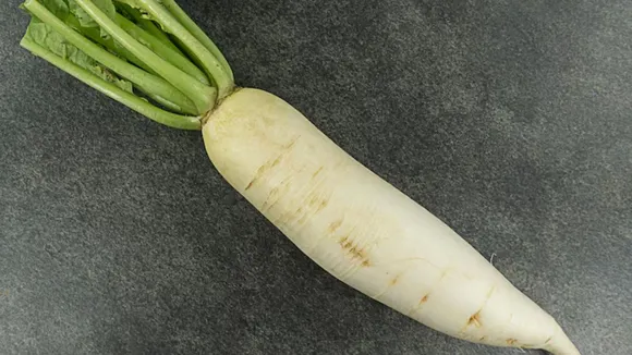 Health benefits of radish in winter | શિયાળામાં મૂળા ખાવાના ફાયદા હેલ્થ ટિપ્સ
