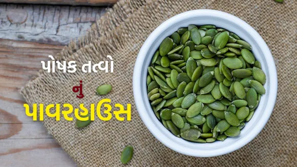 Pumpkin Seeds Benefits | Pumpkin Seeds | kaddu seeds benefits | koda na beej | kaddu seeds