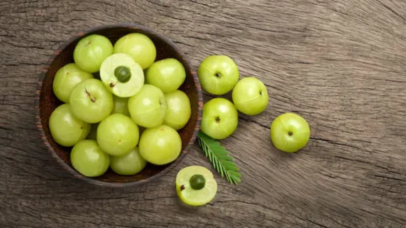 amla juice health benefits in winter | શિયાળામાં આમળાનો પીવાના ફાયદા હેલ્થ ટિપ્સ