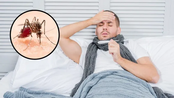 dengue fever | dengue | dengue diet plan | dengue symptoms