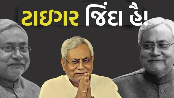 nitish kumar, નીતિશ કુમાર