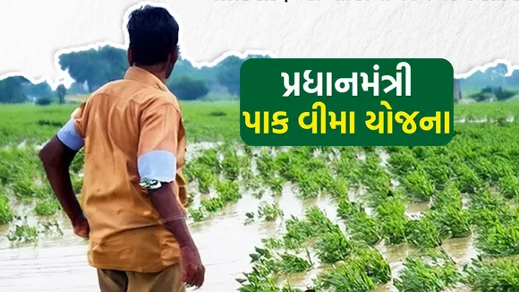 pmbby | pradhan mantri fasal bima yojana | Agriculture | Agriculture news