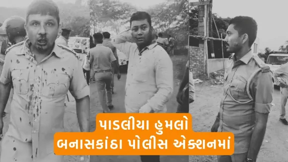 Ambaji crime, Padaliya village