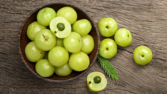 આમળાનું સરળતાથી સેવન કરવાની શ્રેષ્ઠ રીતો રેસીપી આઈડિયાઝ હેલ્થ ટિપ્સ શિયાળો| Best ways to consume amla easily recipes Winter health tips in gujarati