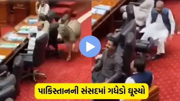donkey in pakistani parliament