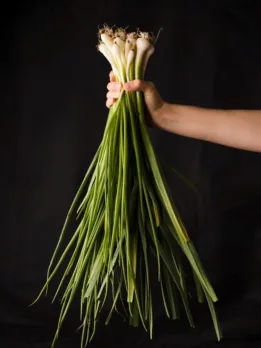 lili dungri khavana fayda in gujarati