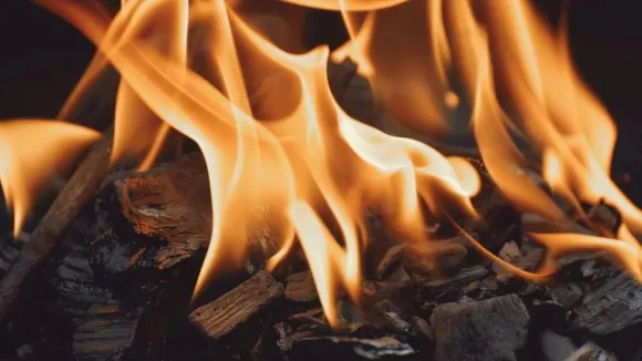 Jaipur Police, Dudu, Dudu Crime