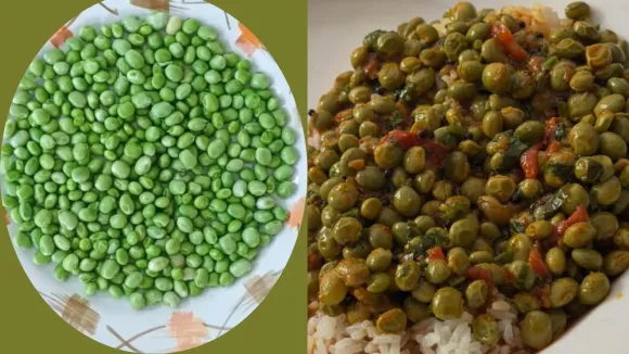 વિન્ટર સ્પેશિયલ તુવેર શાક રેસીપી। Winter Special Tuver nu shaak Recipe in gujarati