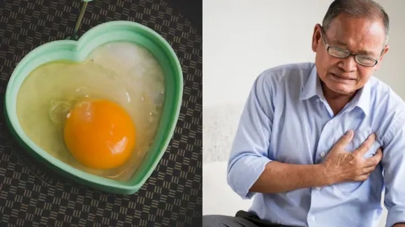 શું પીળા ઈંડાની જરદી ખાવાથી હાર્ટ એટેક આવે છે કોલેસ્ટ્રોલ કારણો નિવારણ હેલ્થ ટિપ્સ। does eating yellow egg yolk causes heart attack expert health tips in gujarati