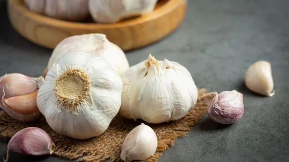 garlic benefits