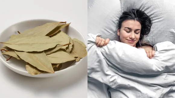 રાત્રે ઓશિકા નીચે તમાલપત્ર રાખવાનું કારણ ફાયદા | reason of putting bay leaves under pillow at night benefits in gujarati