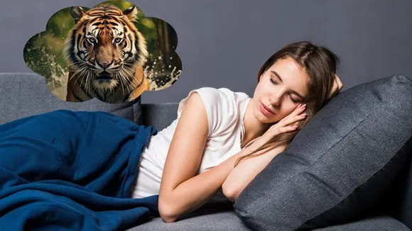 tiger dream iterpretation