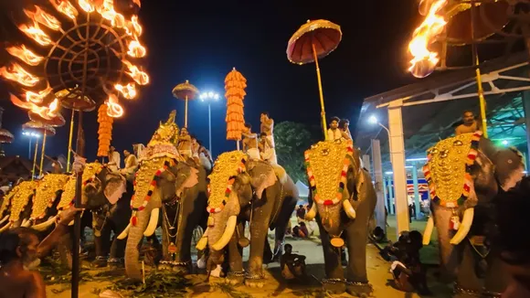 Elephant, Elephant Procession
