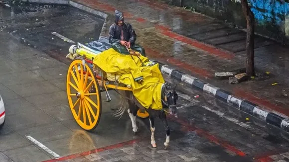 Rain, Karnataka Rain,