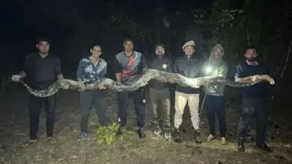 Burmese python rescued Assam