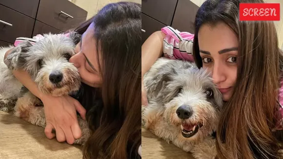 Actor Trisha, dog Zorro