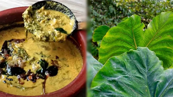 Chembila Curry Instant Recipe 