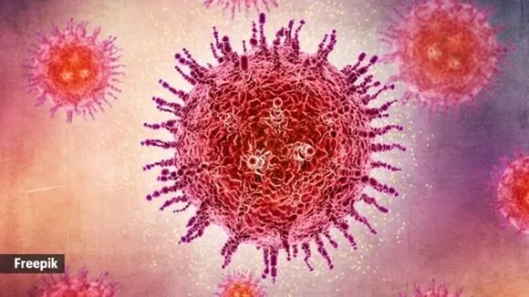 hnvp virus