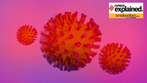HMPV Virus