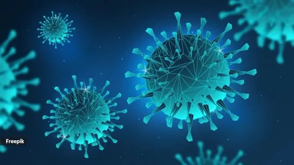 HMPV, HMP virus