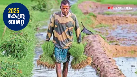 Budget 2025 