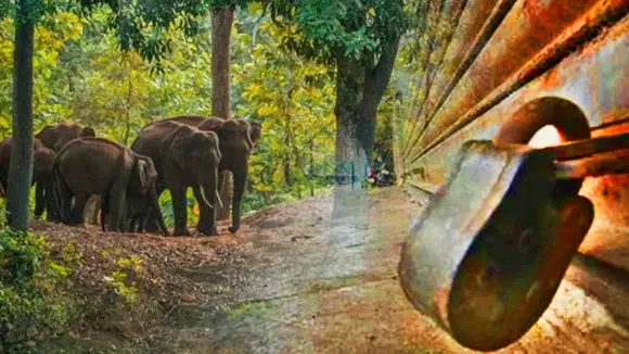Hartal Wayanad