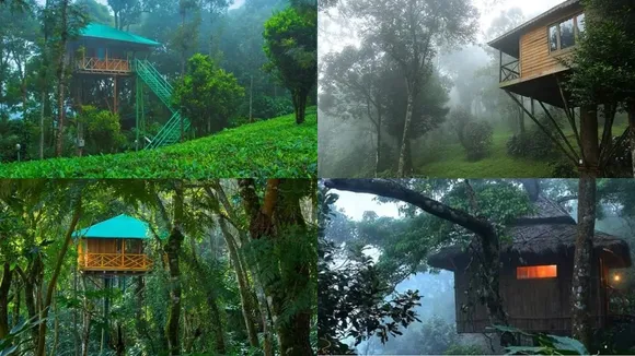 Tree Houses in Kerala Munnar Konni Vythiri Wayanad Thekkady rates