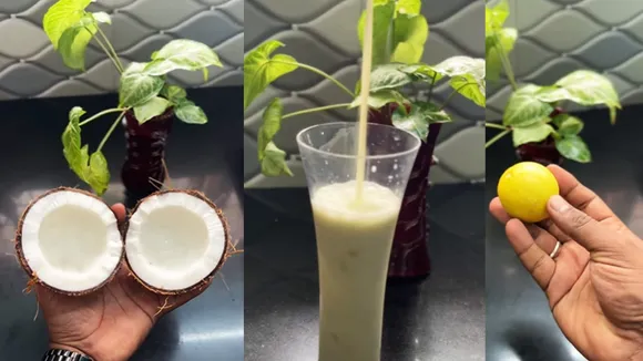 Lemon Juice With Coconut Cool Drink Recipe