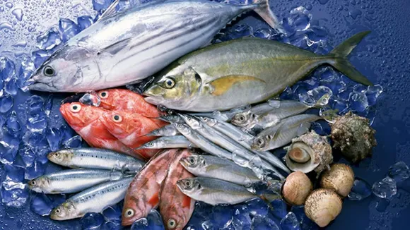 How To Identify Fresh Fish During Summer