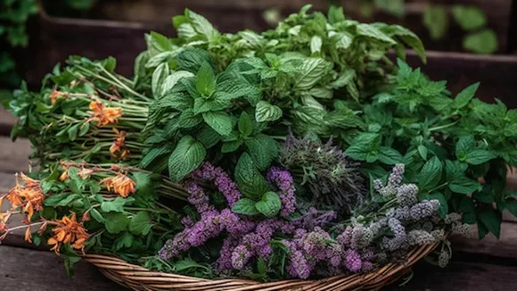 Hair And Skin Care Using Ayurvedic Leaves