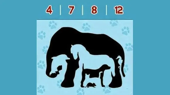 Optical Illusions challenge 