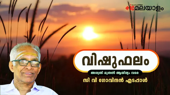 Vishu Phalam 2025