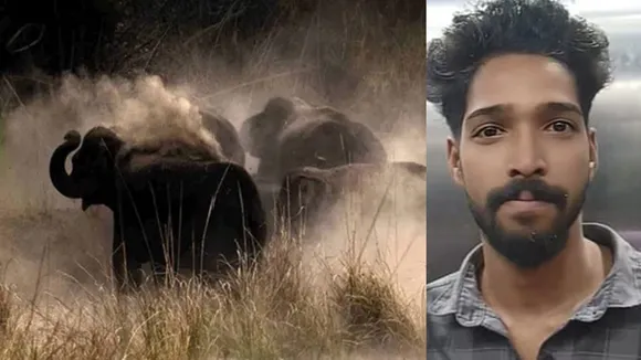 Wild elephant attack athirappilly
