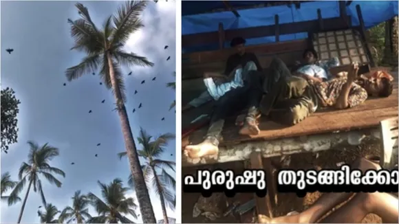 Crow Viral Video