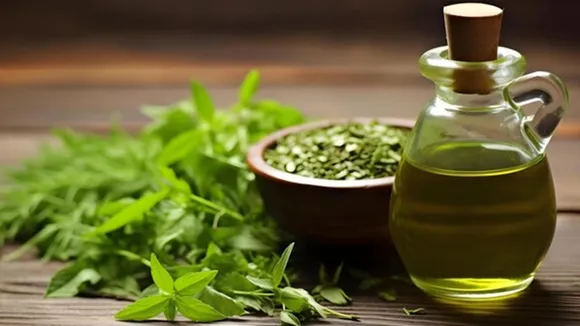 Hair Care Using Curryleaves Oil 