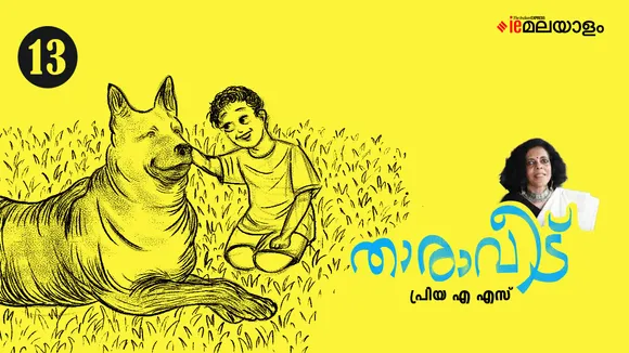 priya as Stories 