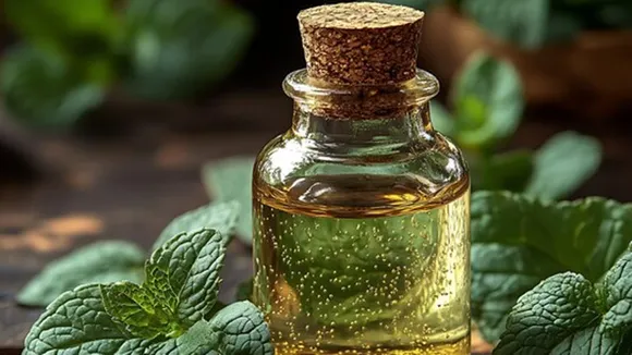 Hair Dye With Ayurvedic Leaves 