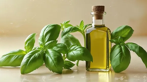 Hair Care Oil