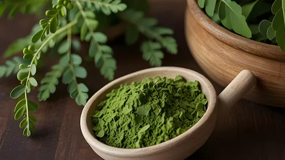 Skin Care Using Moringa Leaves