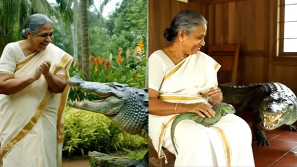 Crocodile, Viral Video, AI