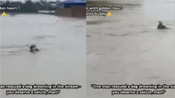 Man Rescue Dog