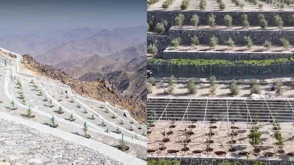 Sharjah’s Ghamam project,