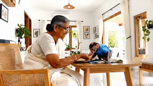 Monkey Viral AI Video