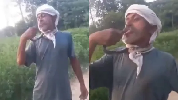 Snake bite incident UP