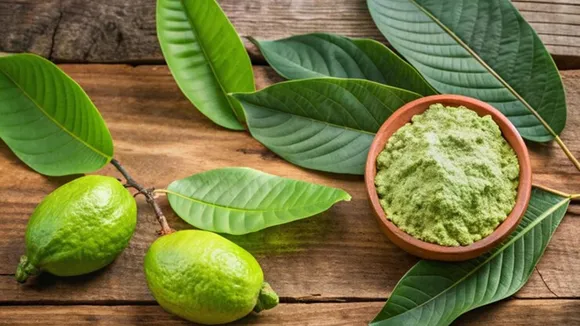 Herbal Hairdye Cream With Guava Leaves FI