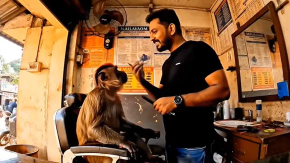 Monkey Viral AI Video