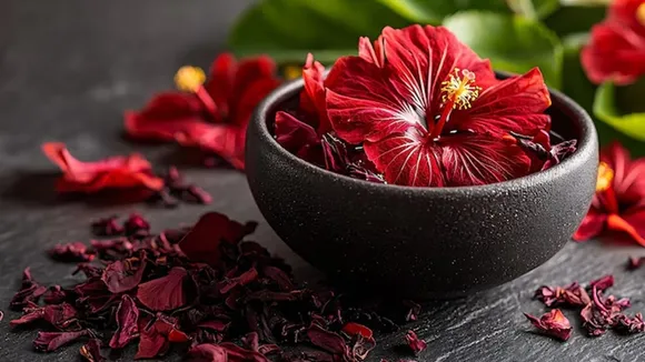 Herbal Hairmask With Hibiscus Curryleaves Aloevera FI