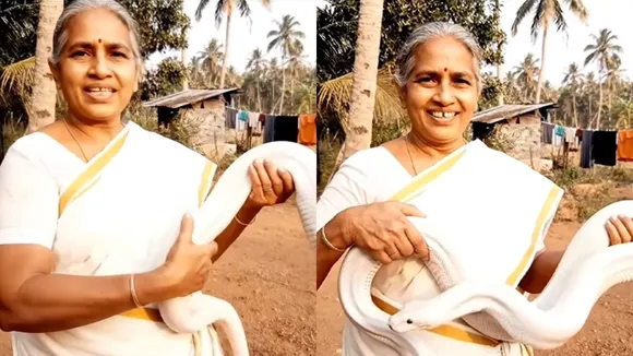 Python viral video